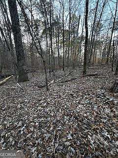 2nd image of 0 River Ridge Trl