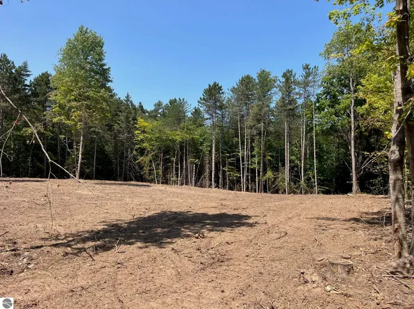 7 S Bright Rd Lot 7, Maple City, MI 49664