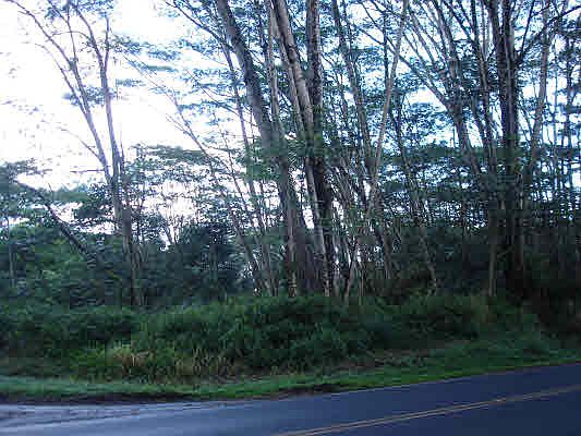 1st image of Paradise Dr Lot 573
