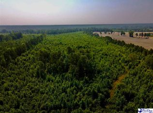 104 Daniels Ln, Bennettsville, SC 29512