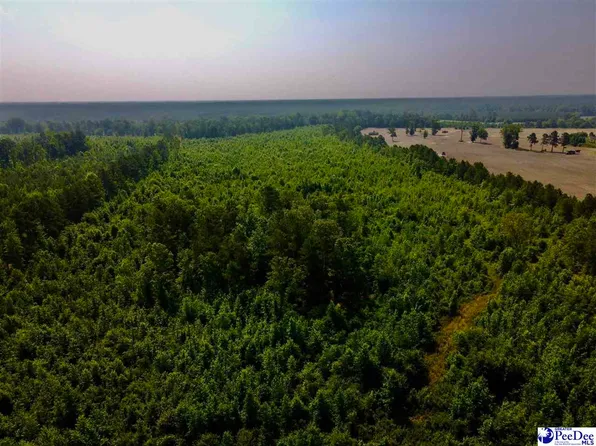 104 Daniels Ln, Bennettsville, SC 29512