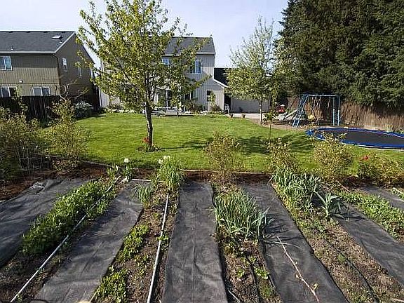 Garden Area