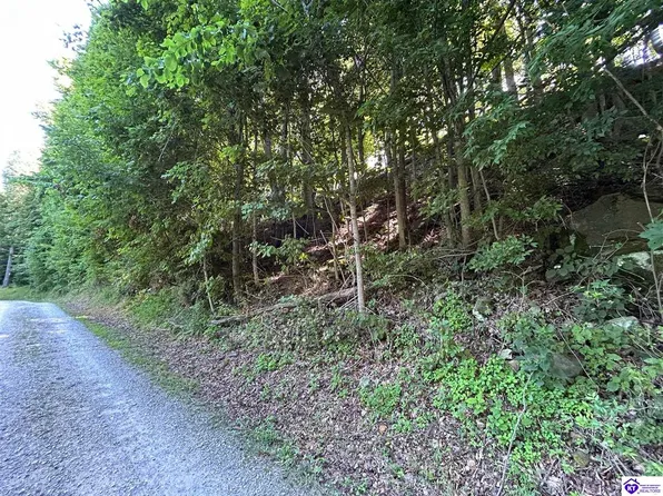 1477 Tanglewood Ln, Mc Daniels, KY 40152