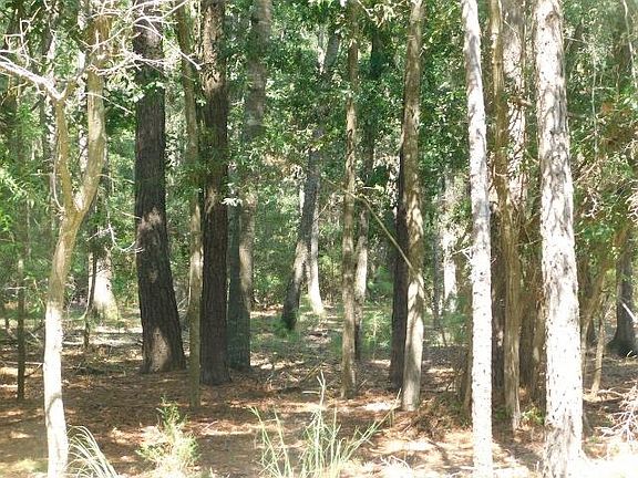 5th image of 8662 Palmetto Rd