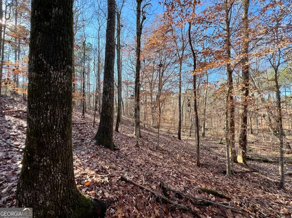 1938 Jones Ferry Rd, Elberton, GA 30635