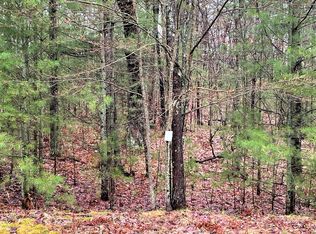 Wintree Dr, Indian river, MI 49749