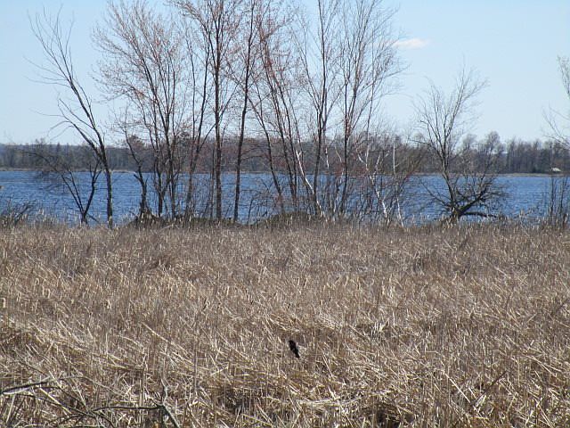2nd image of E5852 S Shore Dr