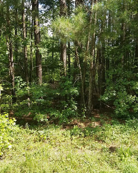 2nd image of 1620 Five Points Rd #30182C