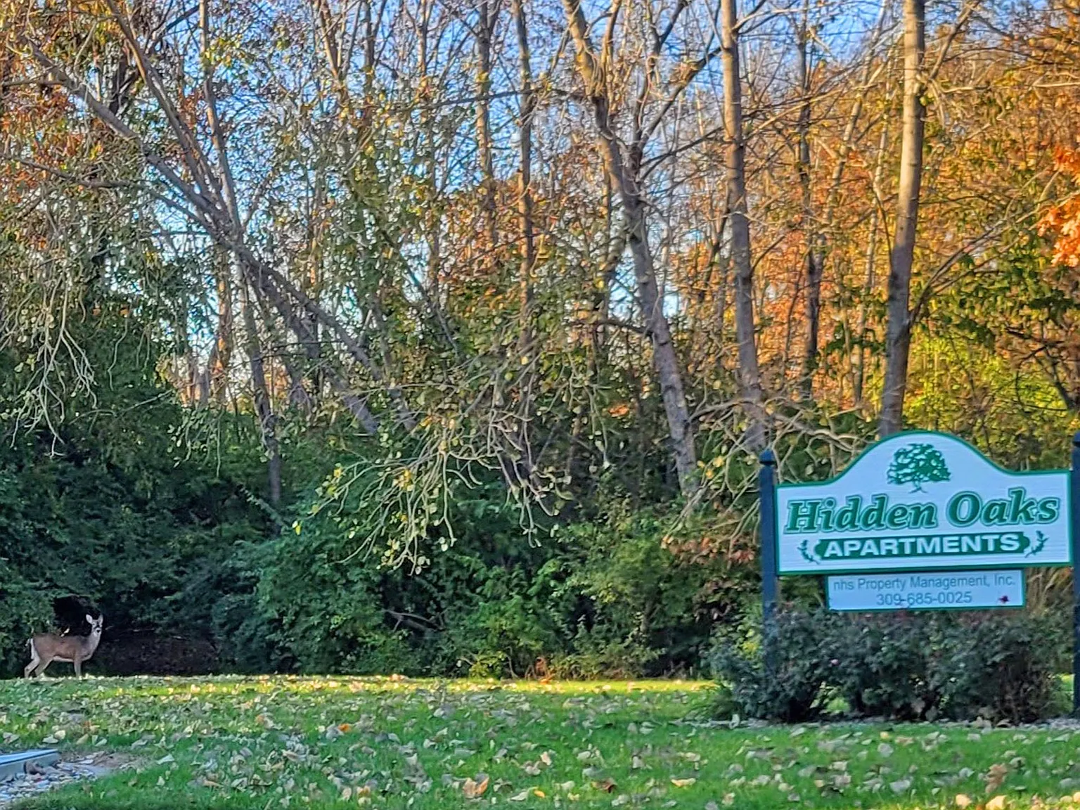 Hidden Oaks Apartments — Photo 2