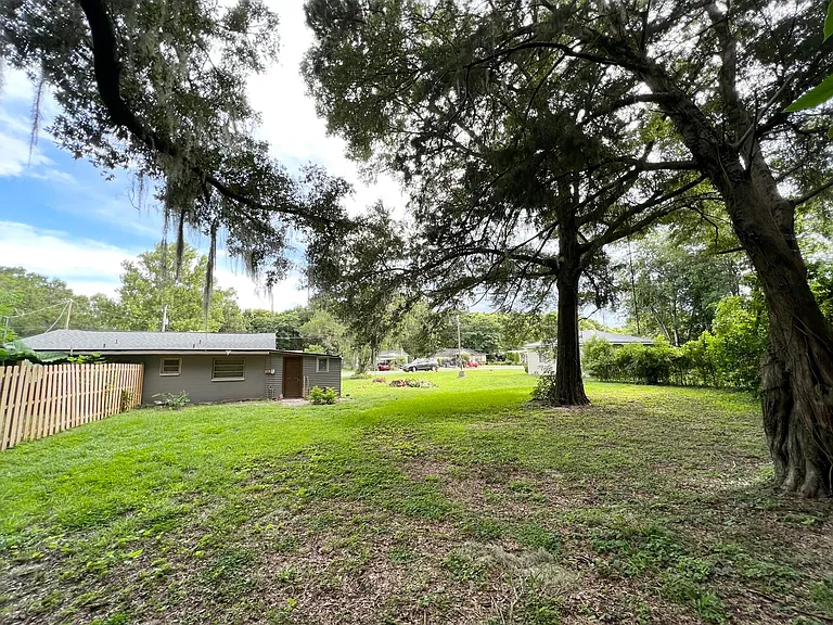 Backyard from rear of lot