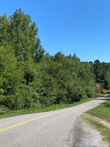 (Undisclosed Address), Russellville, AR, 72802