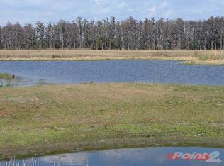 17314 Ballmont Park Dr, Odessa, FL 33556