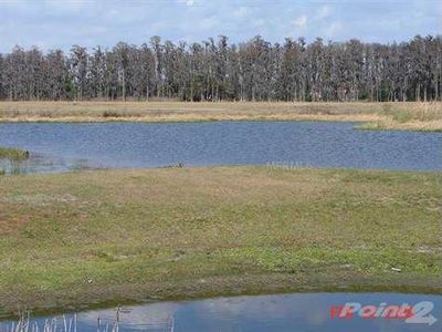 17314 Ballmont Park Dr, Odessa, FL, 33556