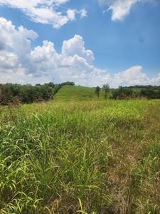 2145 Ruddles Mill Rd, Paris, KY, 40361