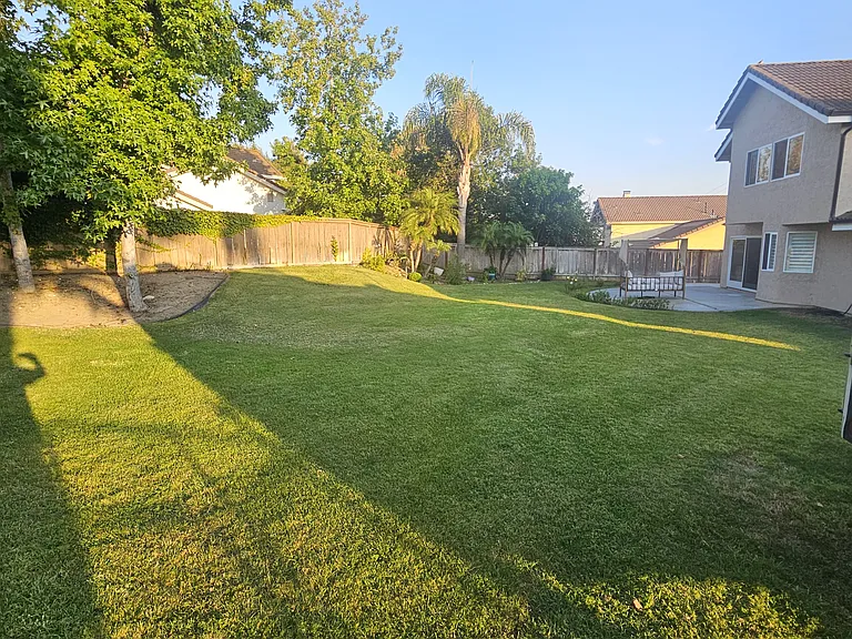 huge back yard