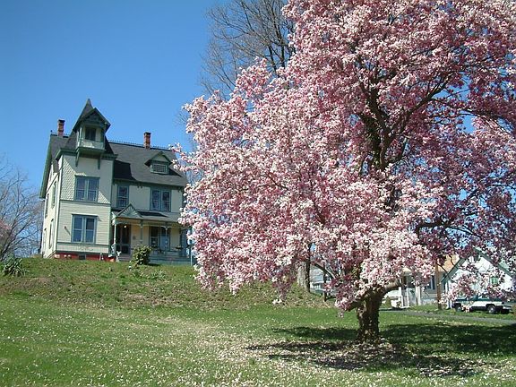 Terraced Front Lawn