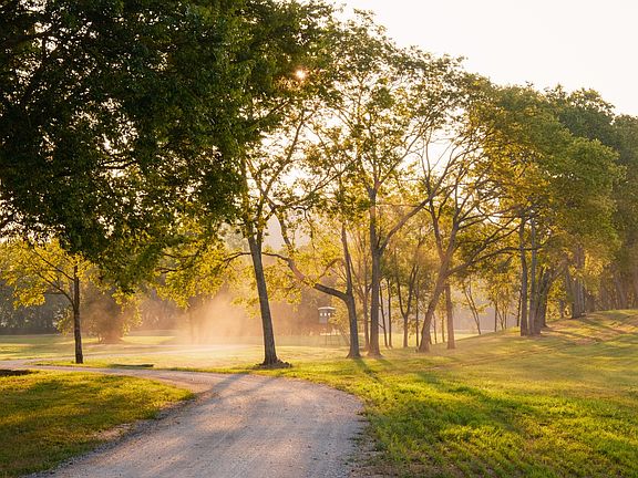 78th image of this home