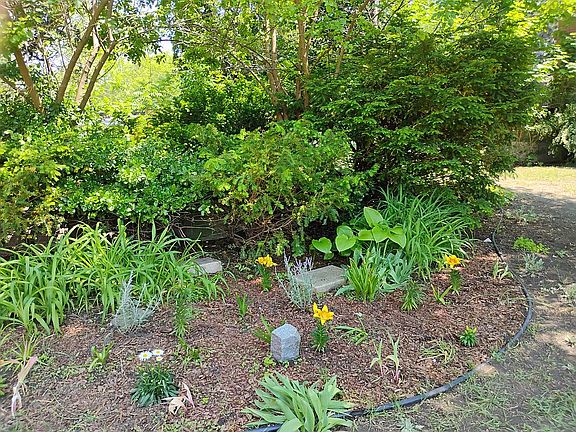 Side garden 1