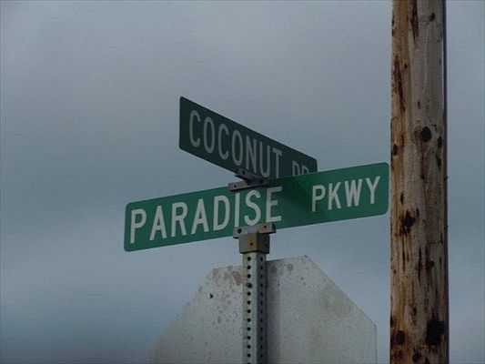 5th image of Paradise Pkwy