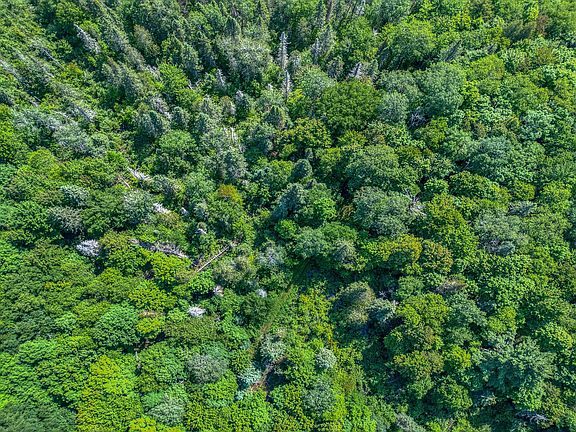 3rd image of 6881 Dunham Road Usfs Rd #6