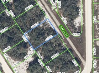 306 Canyon Dr, Lake Placid, FL 33852