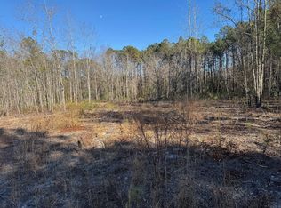 Highway 45 LOT 3, Loris, SC 29569