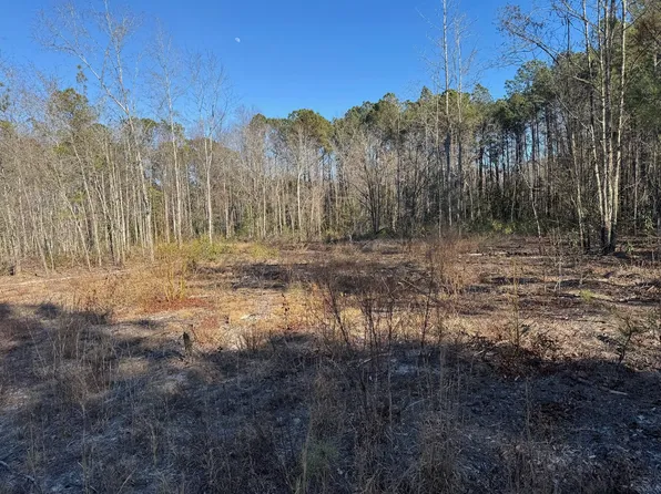 TBD Highway 45 Lot 3, Loris, SC 29569