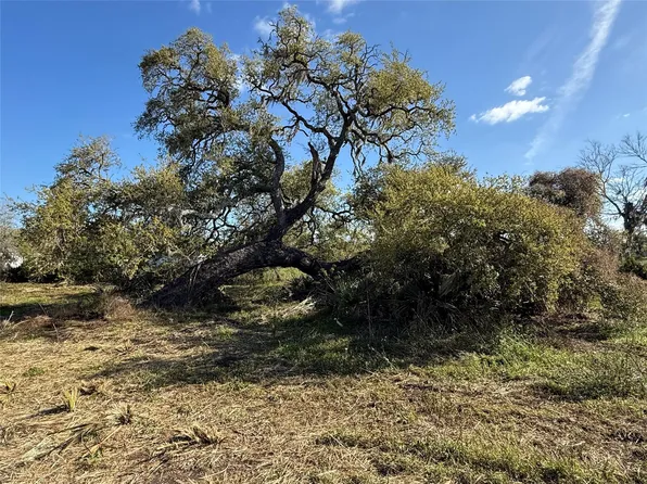 0 County Road 319, Brazoria, TX 77422