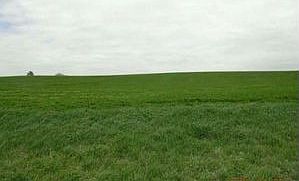 Home for Sale in Mitchellville, Iowa $58,000