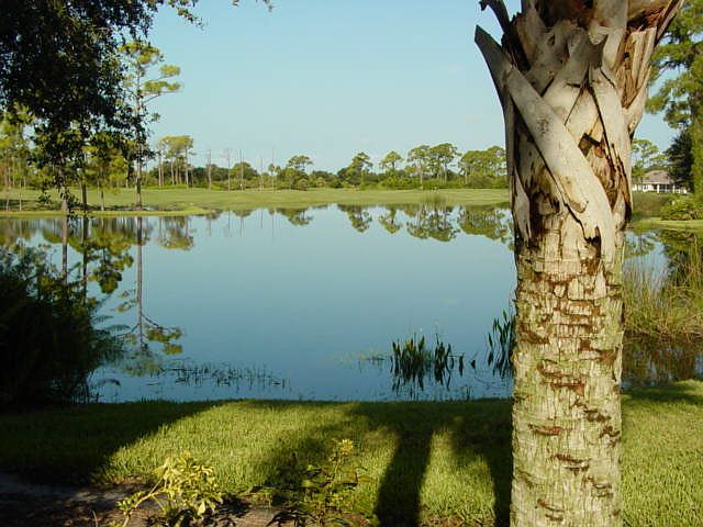 Beautiful Golf Courses