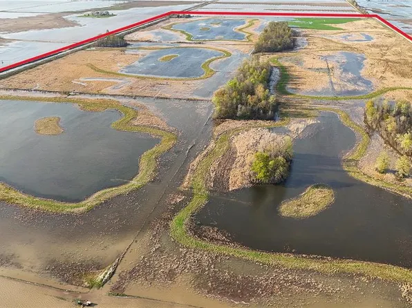 0 County Road 706, Matthews, MO 63867