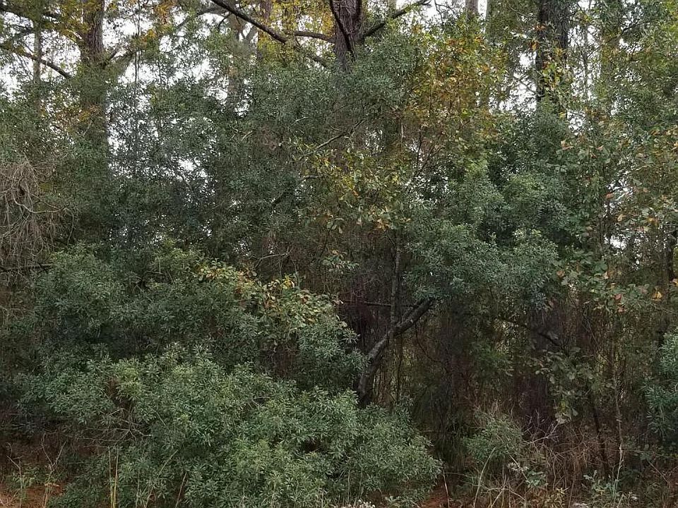 2nd image of 0 Rearden Ln