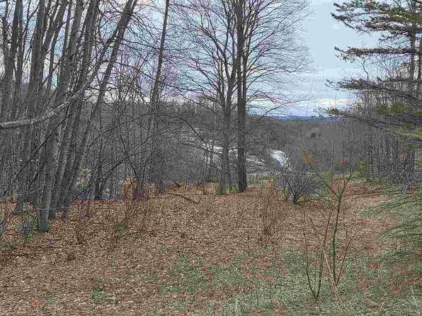 LOT N Cross Over Dr #A, Bellaire, MI 49615
