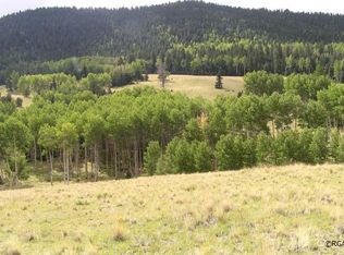 N Range Rd, Guffey, CO 80820