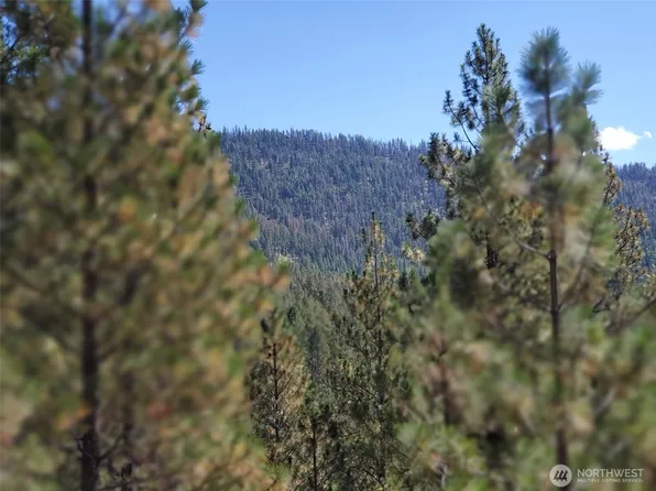 0 Long Horn Trail, Riverside, WA 98849
