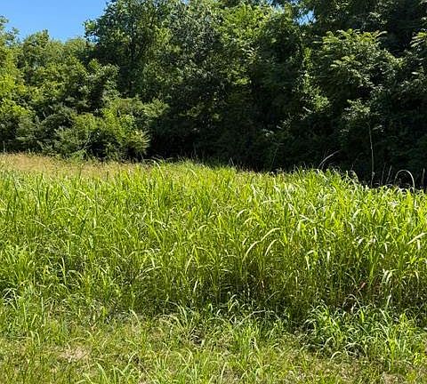 2nd image of 0 Augspurger Rd