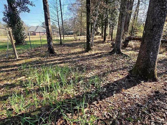 4th image of 53069 Cason Rd