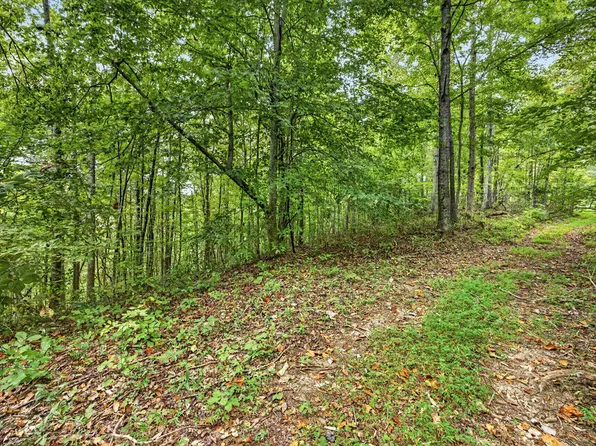 30 Timber Ridge Ln #Phase Ii, Celina, TN 38551