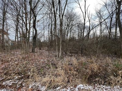 Carver Niles Rd, Carver, OH, 44446