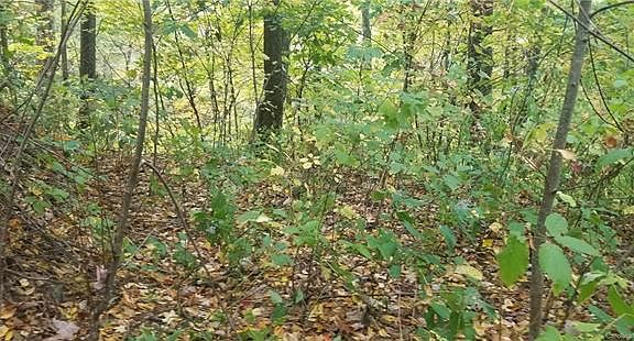 3rd image of 286 Running Deer Trl