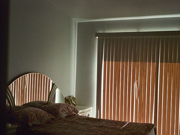 5th image of 237 Sunny Halo Ct