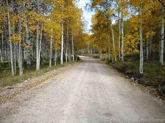 2nd image of E Lake Creek Rd #0