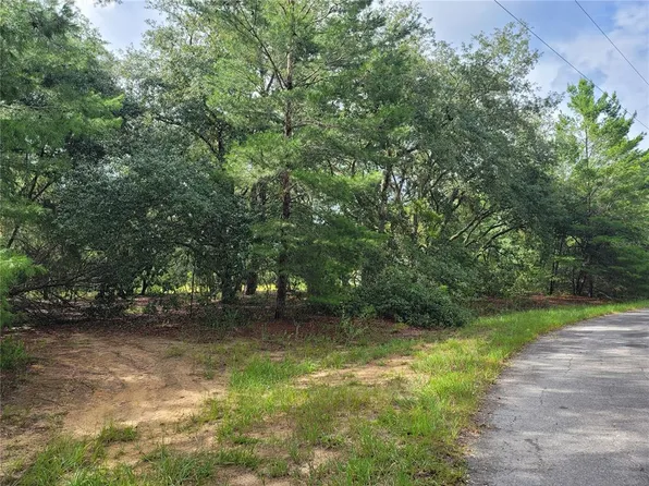 0 Malauka Pass Crse #8, Ocklawaha, FL 32179