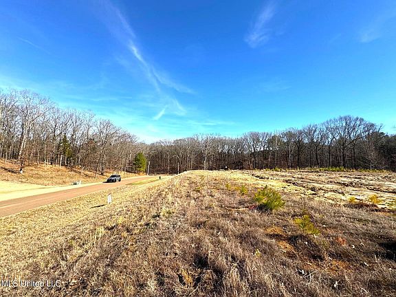 4th image of 2939 Cyrene Dr Lot 35
