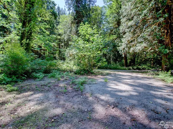 0 W Cascade Way #D3-20, Marblemount, WA 98237