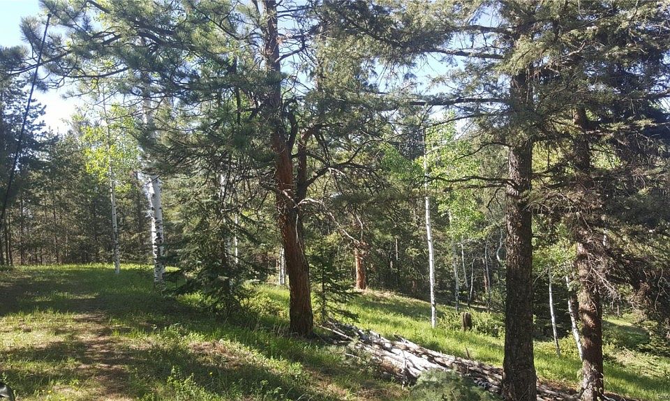 2nd image of 13667 Fir Dr