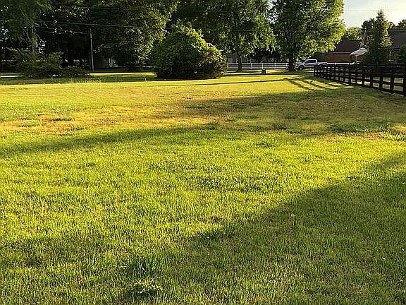 Back yard view from driveway