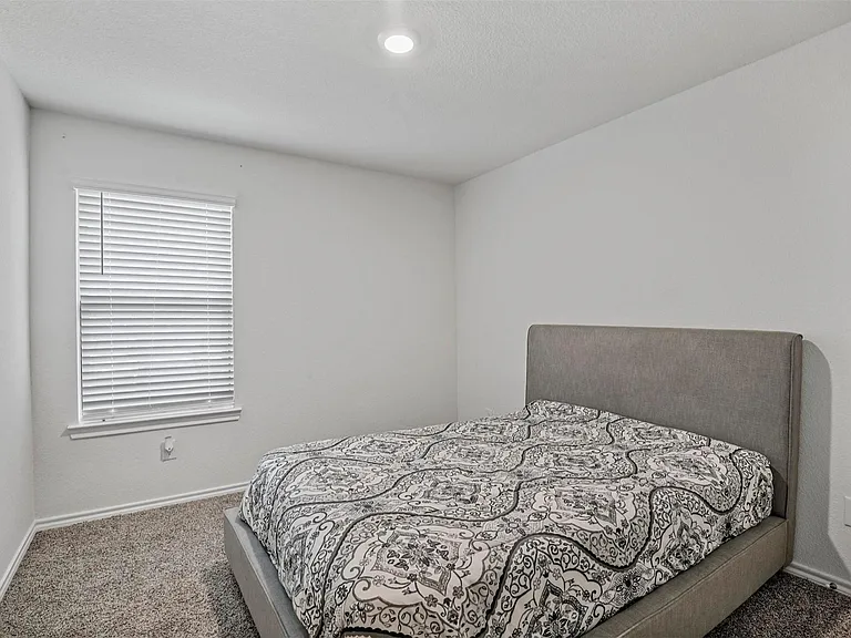 3000 Buttonbush Dr — Photo 17