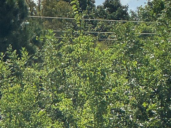5th image of Lone Star Pkwy