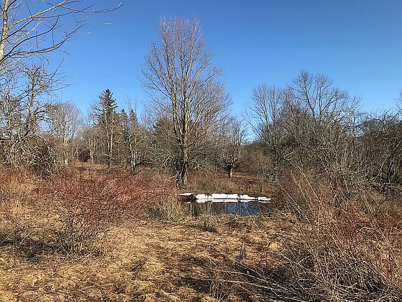 5th image of 925 Teed Hill Rd